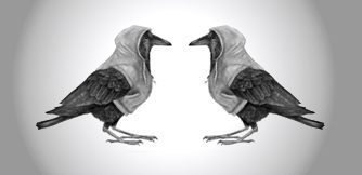 Limited Edition Prints