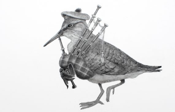 Alternative Scottish Ornithology - Sandpiper - part of a series of twelve pieces.