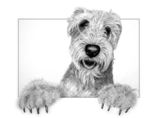 Humphrey