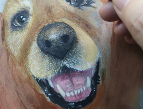 Oor Nala : A truly beautiful dog with a big personality