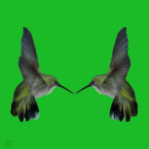 Love Birds 1 - Humming Birds touching beaks